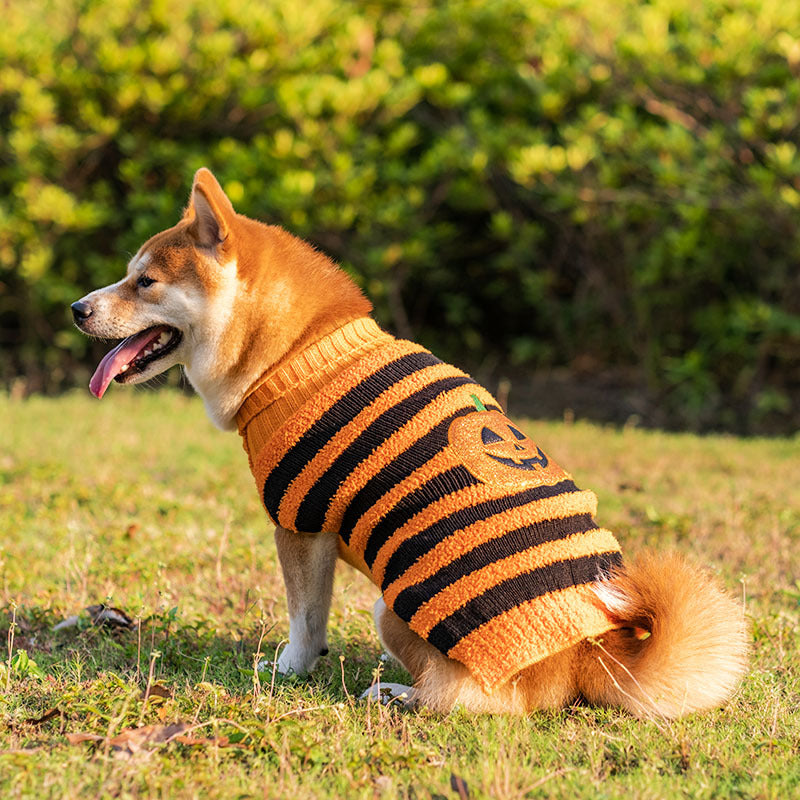 Halloween Dog Sweaters Pet Costume